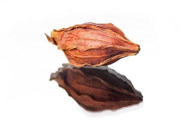 混淆现实与虚拟的世界！《龙魂：魔都异闻录》免费序章现已正式上线